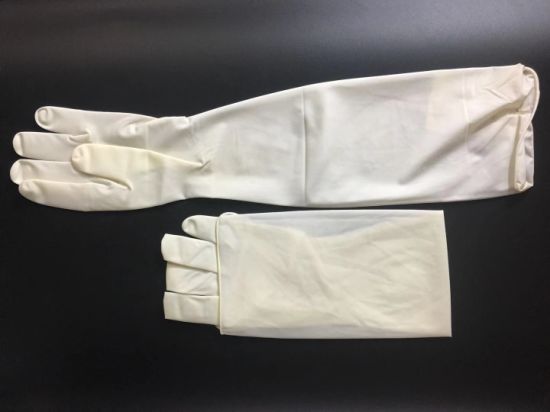 Medical Surgical Gynaecological Rubber Latex Pre-Powder Nonpowder Gloves Glove