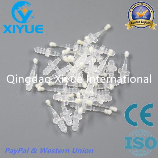 Changeable Dental Brush Tip for Dental Brush