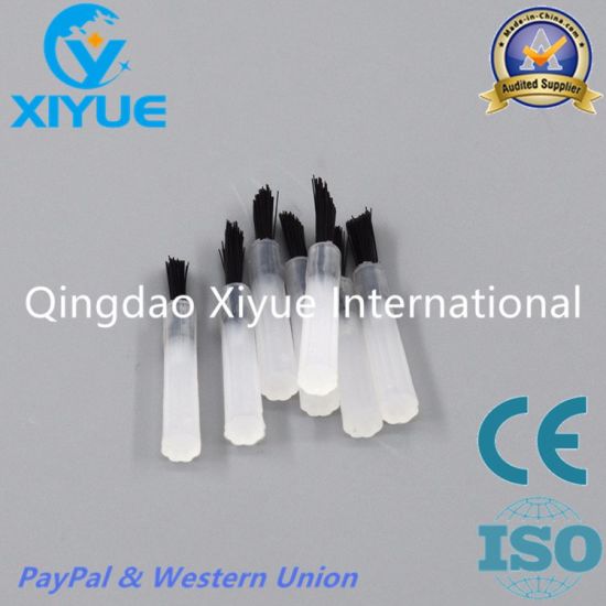 Changeable Dental Brush Tip with High Quality
