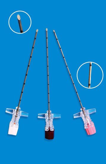 Disposable Spinal Needle