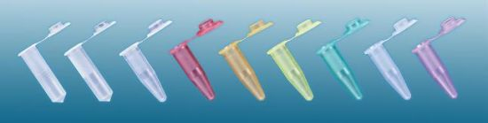 0.2ml Micro-Centrifuge Tube with High Quality