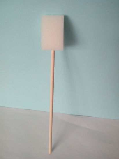 Sponge Washing Brush