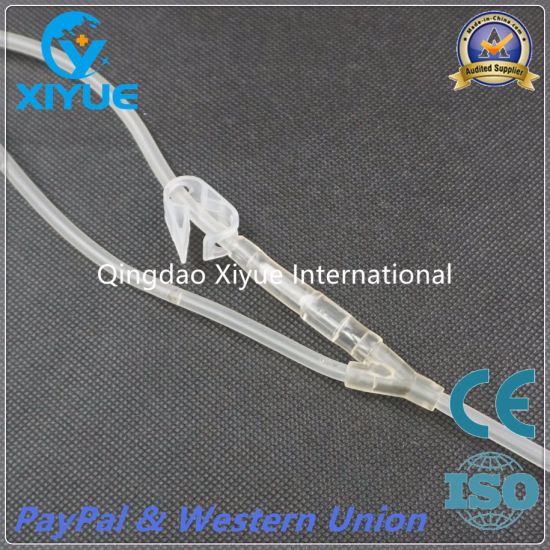 Disposable Double Blood Bag with Needle Protector/Collection Tube/Sampling Pouch