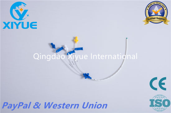 Disposable Antimicrobial Central Venous Catheter with Ce