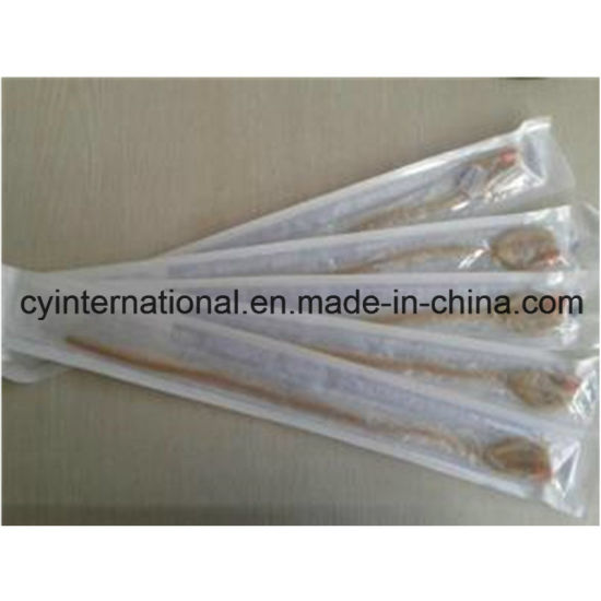 Disposable Medical Silicone Foley Catheter