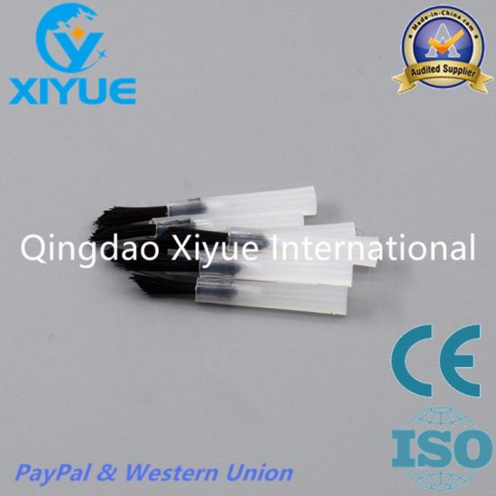 Changeable Dental Brush Tip with High Quality