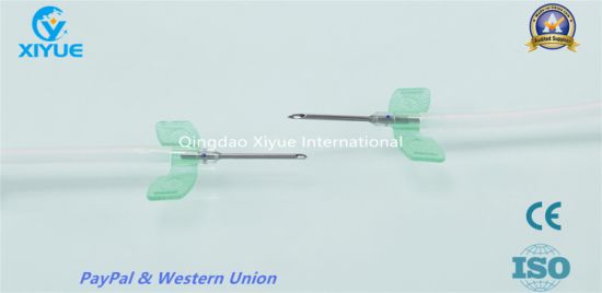 High Quality AV Fistula Needles/ Fistula Needle/ Dialysis Needle