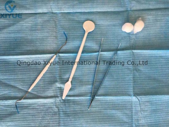 Disposable Dental Kit with Tweezer Probe and Mirror Dental Supplies