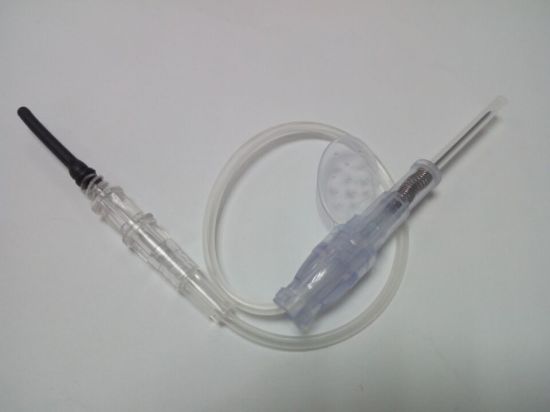 Disposable Blood Collection Needles for Single Use