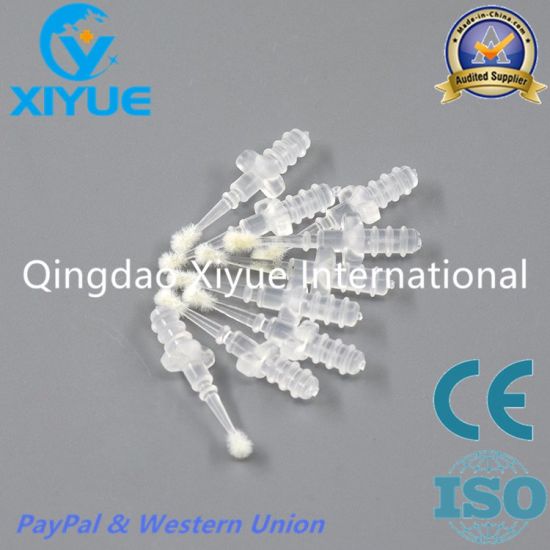 Changeable Dental Brush Tip for Dental Brush