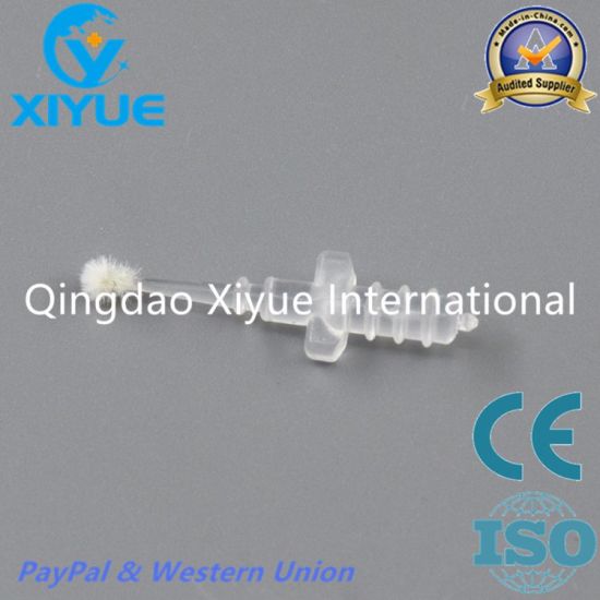 Changeable Dental Brush Tip for Dental Brush