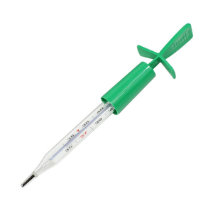 Mercury Free Thermometer with High Quality