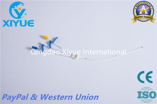 Disposable Antimicrobial Central Venous Catheter with Ce