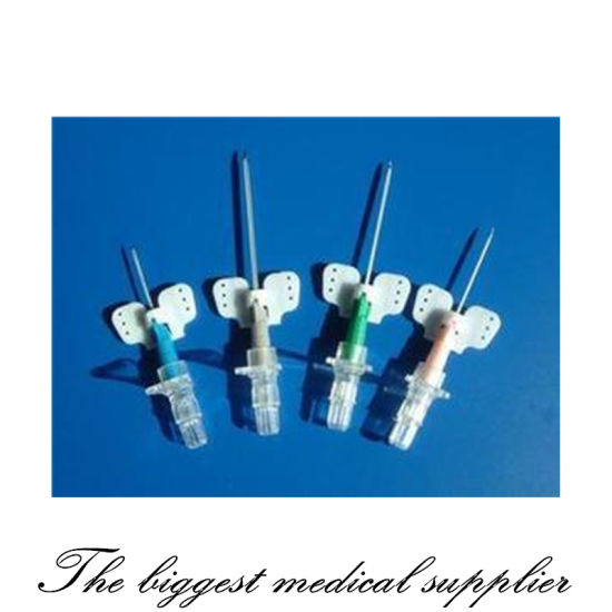 Venous Retention Needls Intravenous Catheter