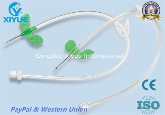 a. V. Fistula Needle with High Quality