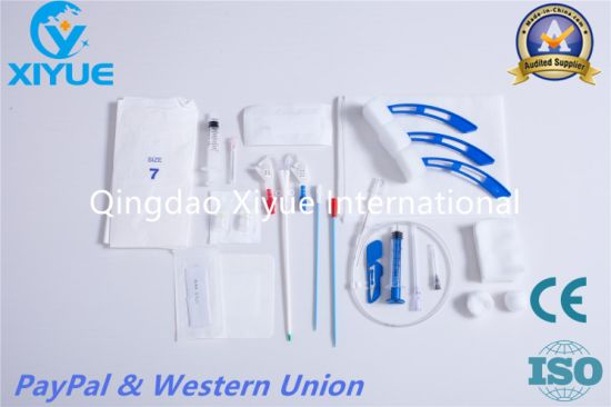 Medical Disposable Hemodialysis Catheter with Ce