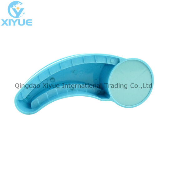 Autoclavable Organizer Endo Measuring Stand Medical Instrument Endo Disinfection Box