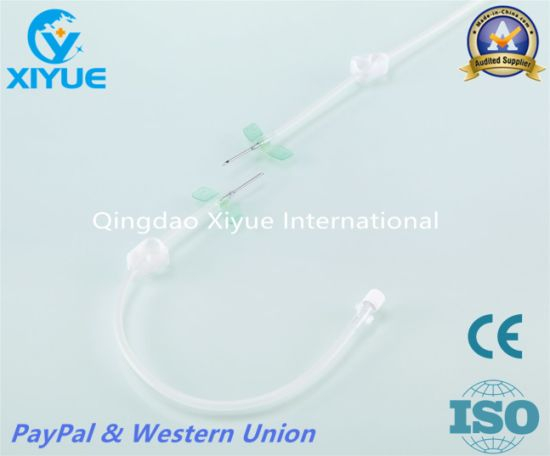 a. V. Fistula Needle with High Quality