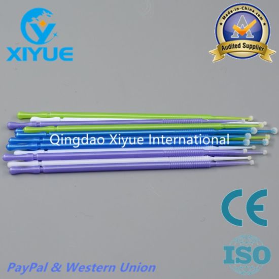 Dental Brush/ Dental Micro Brush with Different Color