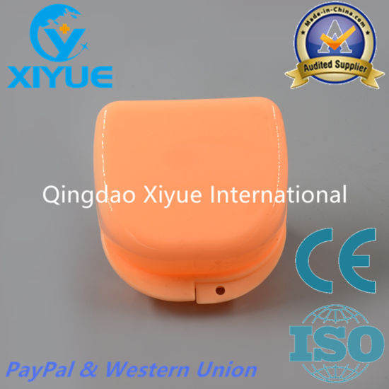 Dental Storage Denture Box with High Qualiy
