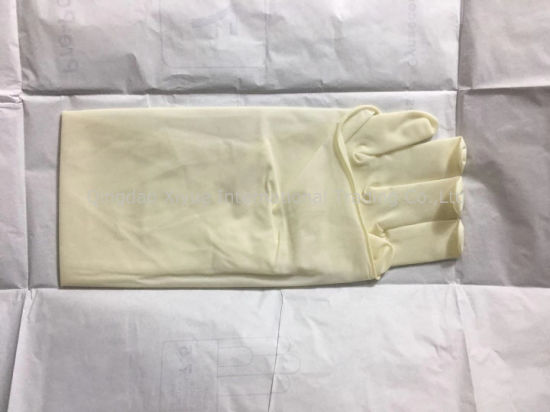 Medical Sterile Latex Powdered Gynaecological Gloves with Ce Certificate