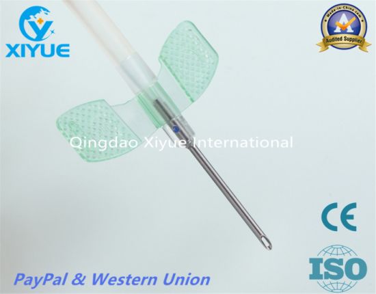 a. V. Fistula Needle with High Quality
