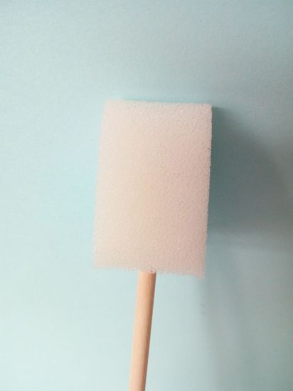 Sponge Washing Brush